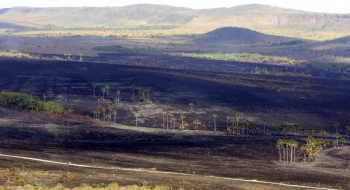 Incêndio na Chapada dos Veadeiros poderá ser controlado até este final de semana